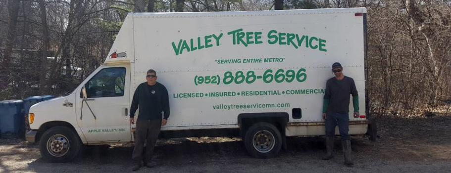 valley tree service, tree trimming, stump removal, emerald ash borer, mn, minnesota, apple valley, burnsville, rosemount, lakeville, prior lake, south metro, twin cities, tree removal, tree diagnosis, tree protection, apple tree, tree removal, shrub removal